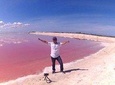 Las Coloradas and Ria lagartos private tour from Valladolid