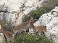 Private Guided Tour to Torcal de Antequera