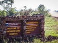 Madikwe Game Reserve Day Tour