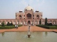 Golden Triangle with Tigers