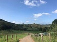 Taste of the Camino de Santiago