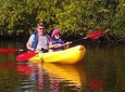 Guided Kayak Tour tour with Dolphin Sightseeing 
