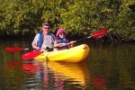 Guided Kayak Tour tour with Dolphin Sightseeing 