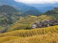 Guilin Tea plantation and Longji Rice Terraces Day Tour from Guilin hotel