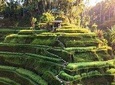 Ubud In On Day
