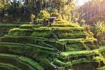 Ubud In On Day