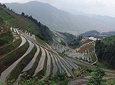 Longji Rice Terraces Day Tour from Xingping hotel