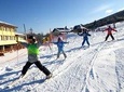Transport included☆ Private ski lesson for you and your family