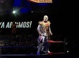 Mezcal Tasting, Lucha libre (Mexican Wrestling), and Tacos