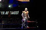 Mezcal Tasting, Lucha libre (Mexican Wrestling), and Tacos