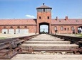 Auschwitz&Birkenau and Salt Mine one day trip 