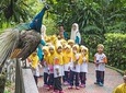 Kuala Lumpur Bird Park, Butterfly Farm And Taman Orkid Include All Entrance