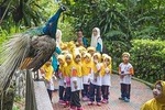 Kuala Lumpur Bird Park, Butterfly Farm And Taman Orkid Include All Entrance