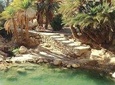 OASIS SAFARI: 2 DAYS Departure Djerba & Zarzis