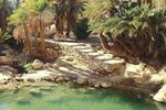 OASIS SAFARI: 2 DAYS Departure Djerba & Zarzis