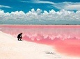 Las Coloradas & Rio Lagartos Tour Plus 