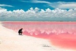 Las Coloradas & Rio Lagartos Tour Plus 