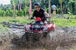 ATV Ride & Ubud Tour