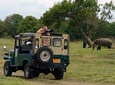 Animal Kingdom - UDAWALAWE Day Tour