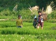THON THA TREKKER 2D2N