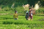THON THA TREKKER 2D2N