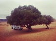 Agadir Trip To Mini Desert / Safari Tour