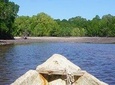 Mida Creek Boardwalk and Canoa Ride