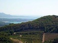 Toulon and Surroundings - 8hour tour