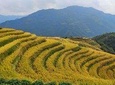 Longji Rice Terraces Day Tour from Guilin hotel