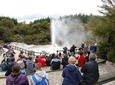 Private Tour Waiotapu Geothermal Shore Excursion up to 8 passengers
