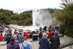 Private Tour Waiotapu Geothermal Shore Excursion up to 8 passengers