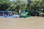 Wildlife Safari Tour 