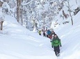 Snowshoe Tour