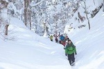 Snowshoe Tour