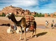 Ait Benhaddou day trip
