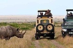 Nairobi National Park, Giraffe center & Kazuri beads factory Guided Day Tour