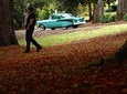 '56 Chevrolet 6-Hour Dandenong Ranges Classic Car Private Tour (4 person)