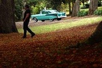 '56 Chevrolet 6-Hour Dandenong Ranges Classic Car Private Tour (4 person)