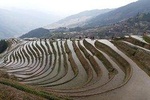 Guilin Tea plantation and Longji Rice Terraces Day Tour from Yangshuo hotel