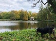 Warsaw outskirts - 6 hour tour with a local historian