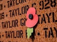A Story of Discovery, Education and Remembrance
