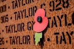 A Story of Discovery, Education and Remembrance