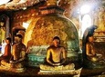 Dambulla City Tours
