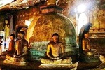 Dambulla City Tours