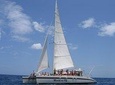 Private Catamaran Tour on Marlin del Rey