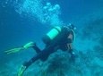 Discover Scuba diving