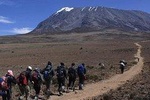 7 Days climb Mt Kilimanjaro through Rongai Route
