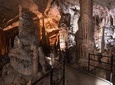 Half day tour to Postojna cave - Private tour from Koper/Trieste/Piran