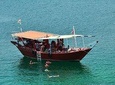 Half Day Cruise & Half Day Mountain Safari with Picnic Lunch (Shore Excursion)