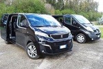 Arrival Private Transfer Alghero Airport AHO to Alghero City by Minivan